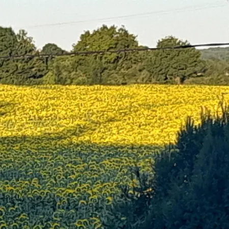 Chateau Nocleg ze śniadaniem Ardilleux