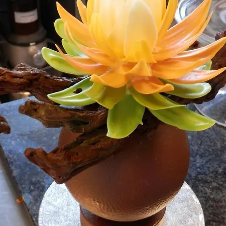 Nocleg ze śniadaniem Chateau Ardilleux