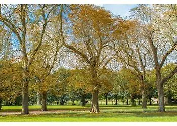 Chateau Nocleg ze śniadaniem